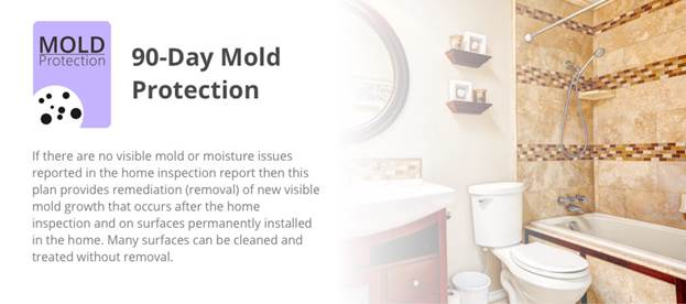 90-Day Mold Protection